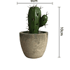 1pc Artificial Potted Cactus