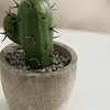 1pc Artificial Potted Cactus