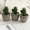 1pc Artificial Potted Cactus