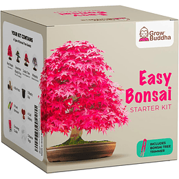 Kit de sementes bonsai, faça crescer o seu próprio bonsai, cultive facilmente 4 tipos de árvores bonsai com o nosso kit para iniciantes, ideia única de presente