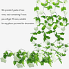 Grinaldas de flores artificiais - 5 fios de 230 cm de comprimento, artificiais de rosas brancas para decorações, arco de flores de seda com design realista para casa, jardim, casam...