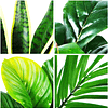 Conjunto de 4 Plantas artificiais 40 cm grande / planta de cobra / palma-arca / planta de riscas verdes em vaso para interior exterior casa escritório decoração moderna