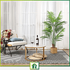 Planta artificial Areca palmeira grande 190 cm árvore artificial plástico interior e exterior casa sala de estar quarto varanda moderna decorativa (2 pacotes)