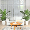 Planta de palmeira-de-areia artificial 160 cm palmeira falsa com 17 troncos, decoração moderna para interiores e exteriores, plantas em vasos para escritório em casa (2 peças)