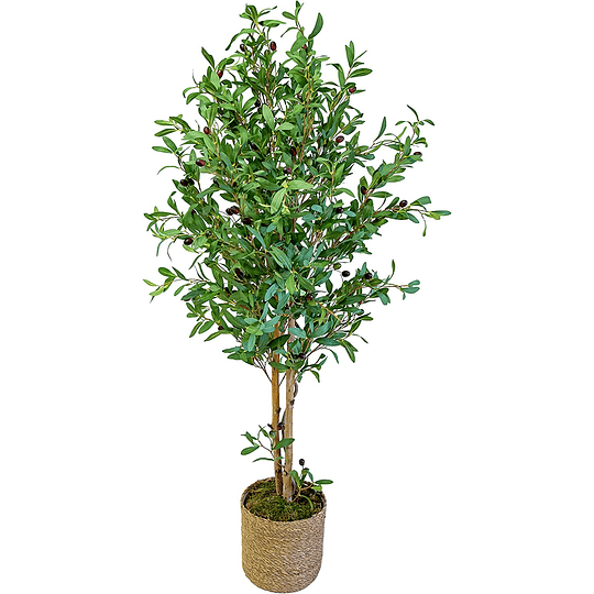 Árvore artificial com troncos naturais, bambu, fícus, eucalipto, oliveira, glicínia, ideal para decoração de casa