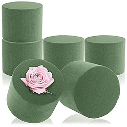 8X Esponja em forma cilíndrica para arranjos florais, espuma floral para flores frescas, esponja para artesanato (08 peças - Cilindro) 6 peças - cilindro grande