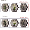 3peças 3d padrão de planta Adesivo de parede