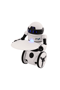 ROBOT MIP 