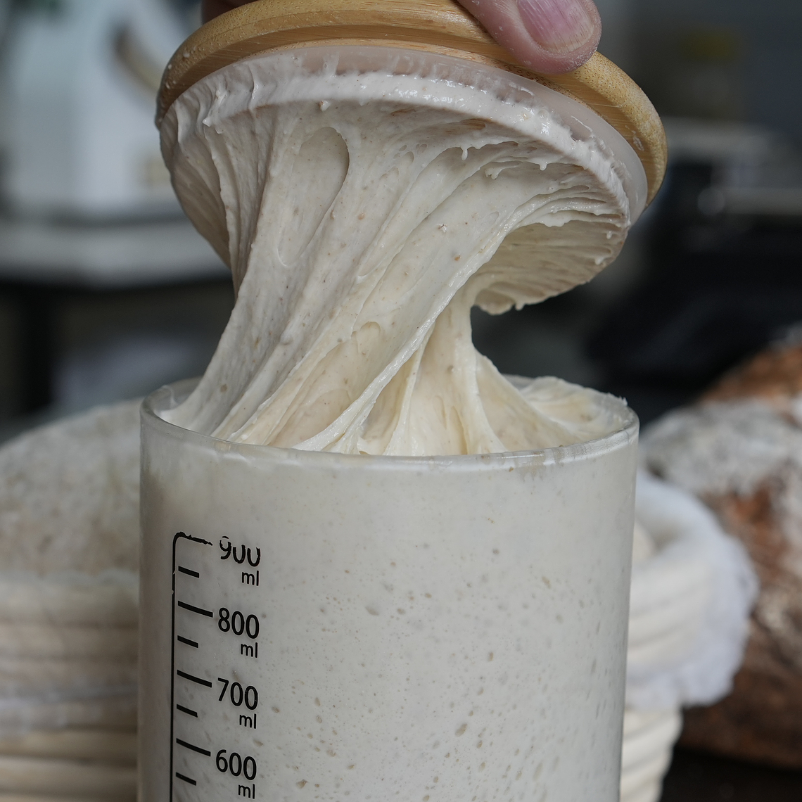 Kit Inicial para Masa Madre Fermentación desde Cero 6