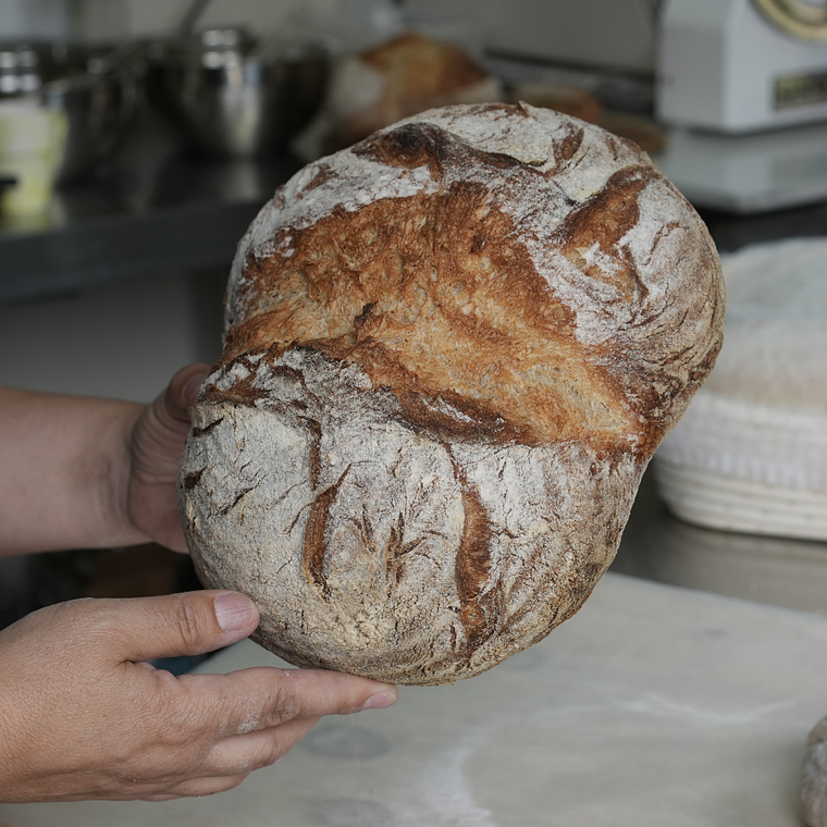 Kit Avanzado para Pan Artesanal Masa Madre 8