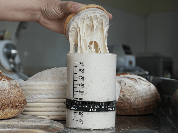 Errores comunes al empezar con masa madre (y cómo evitarlos)