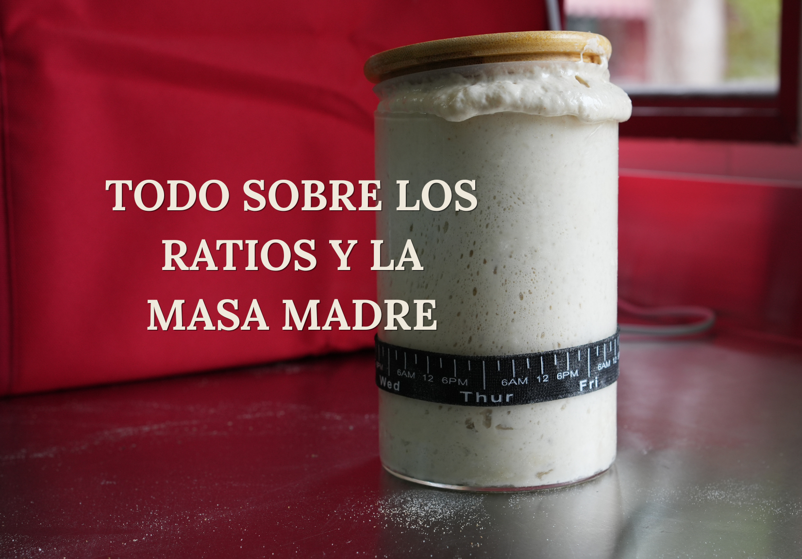 Guía GRATIS: Ratios de masa madre