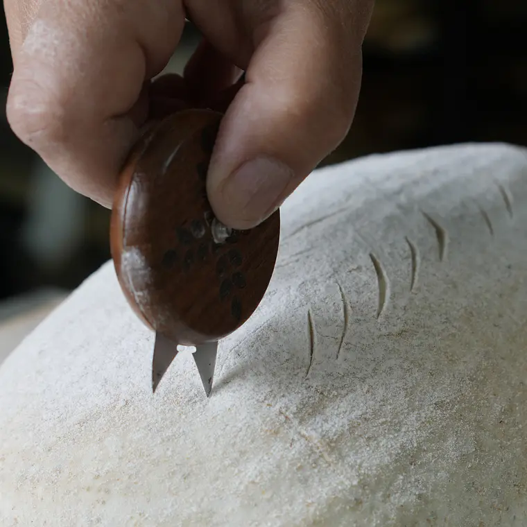 👉 Guía práctica de masa madre: aprende a manejarla sin improvisar 4