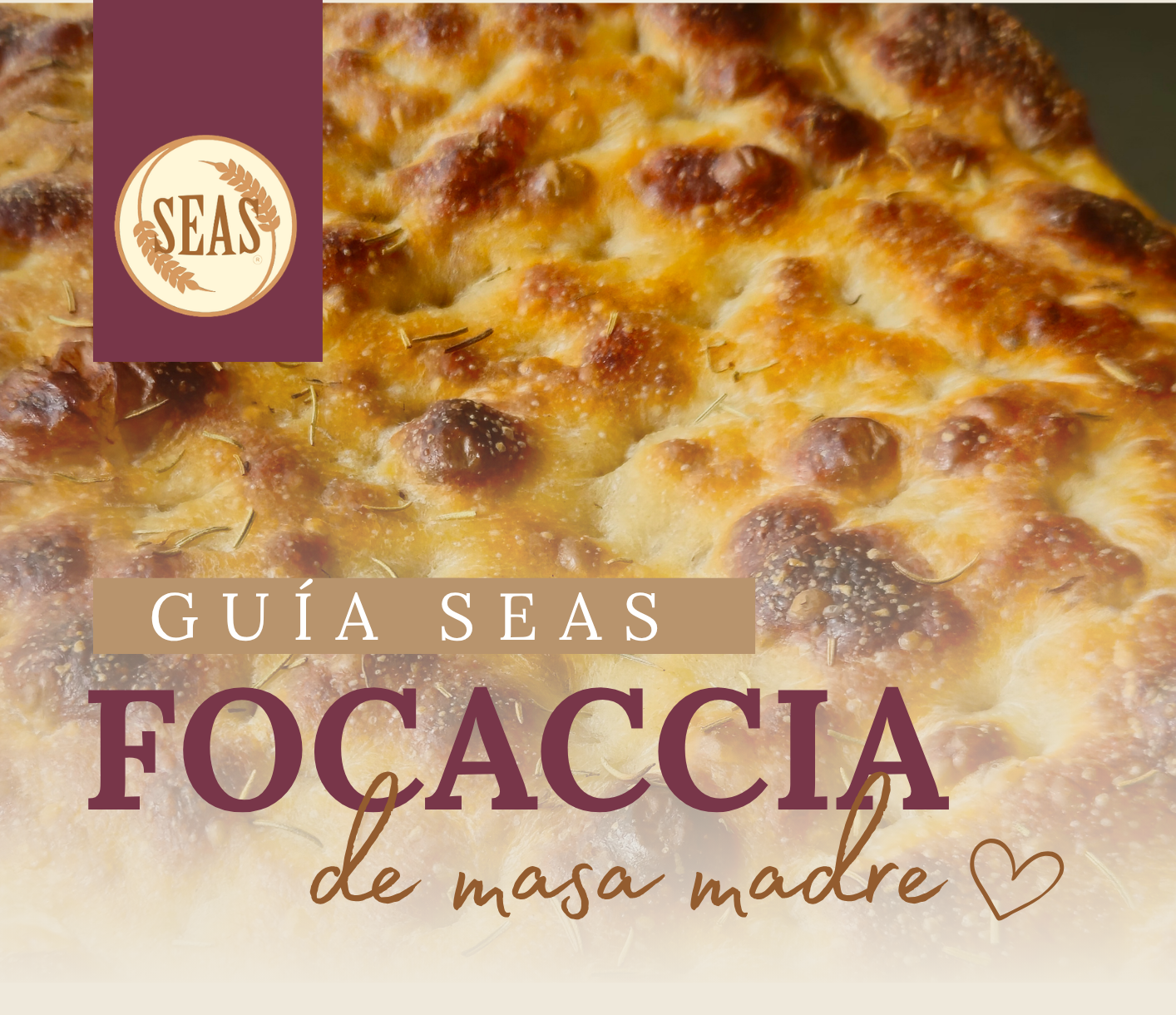 Guía SEAS 01 | Focaccia de masa madre