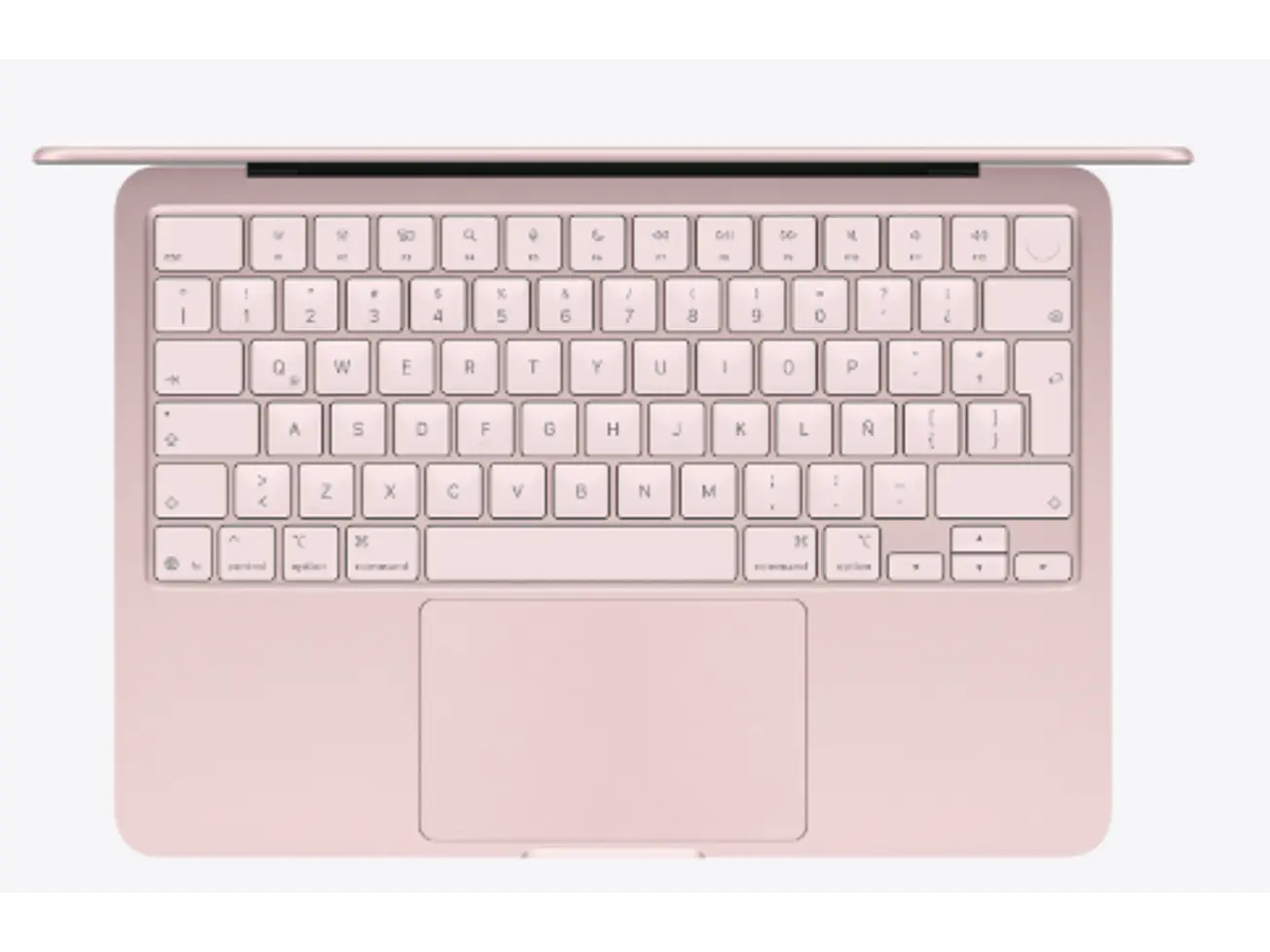 MacBook Neo 13' Rosado rubor 2