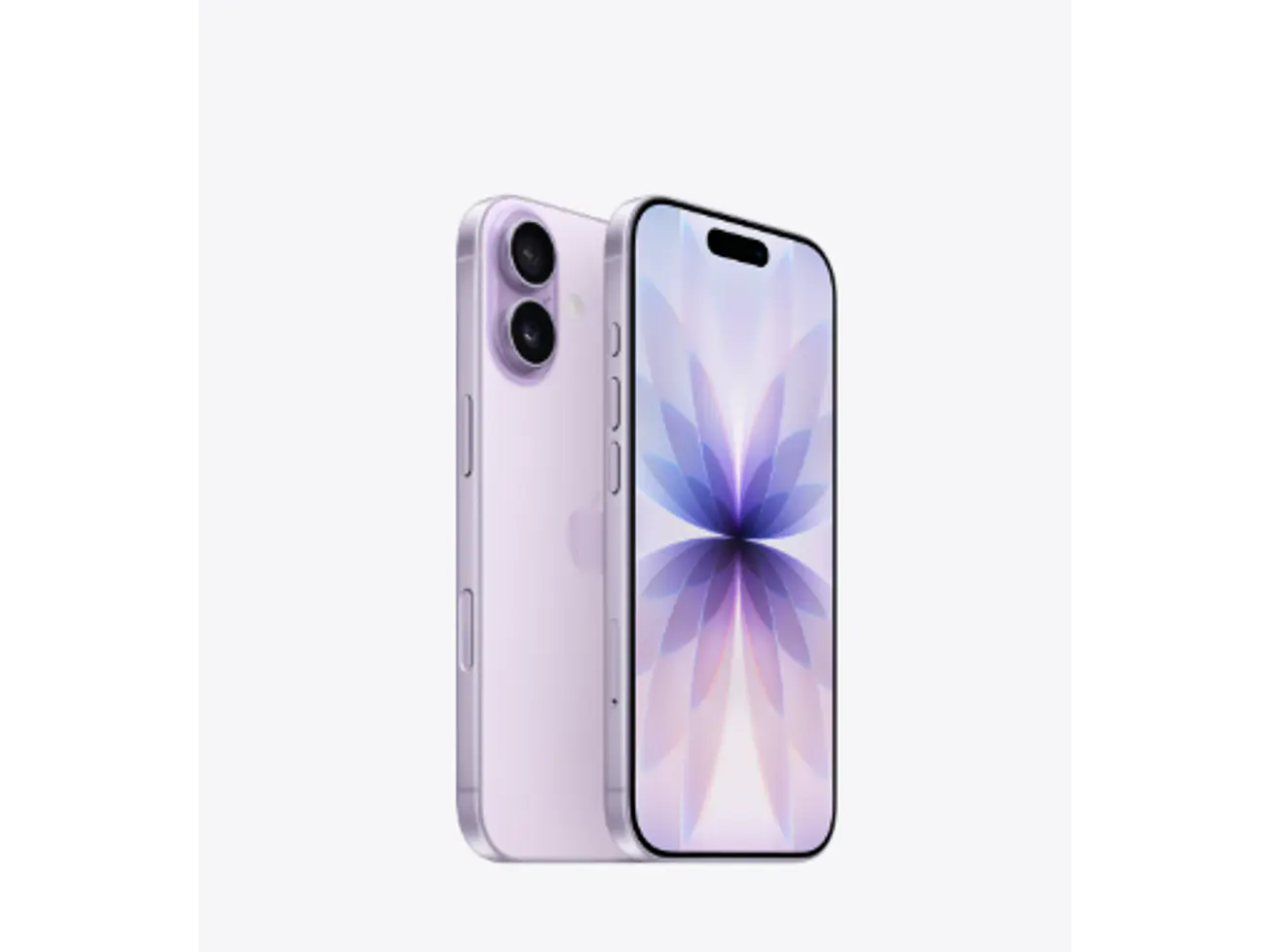 iPhone 17 de 256 GB 6
