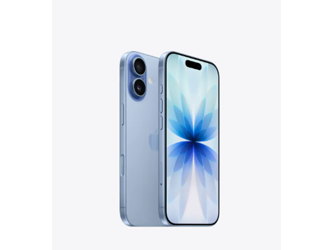 iPhone 17 de 256 GB 5