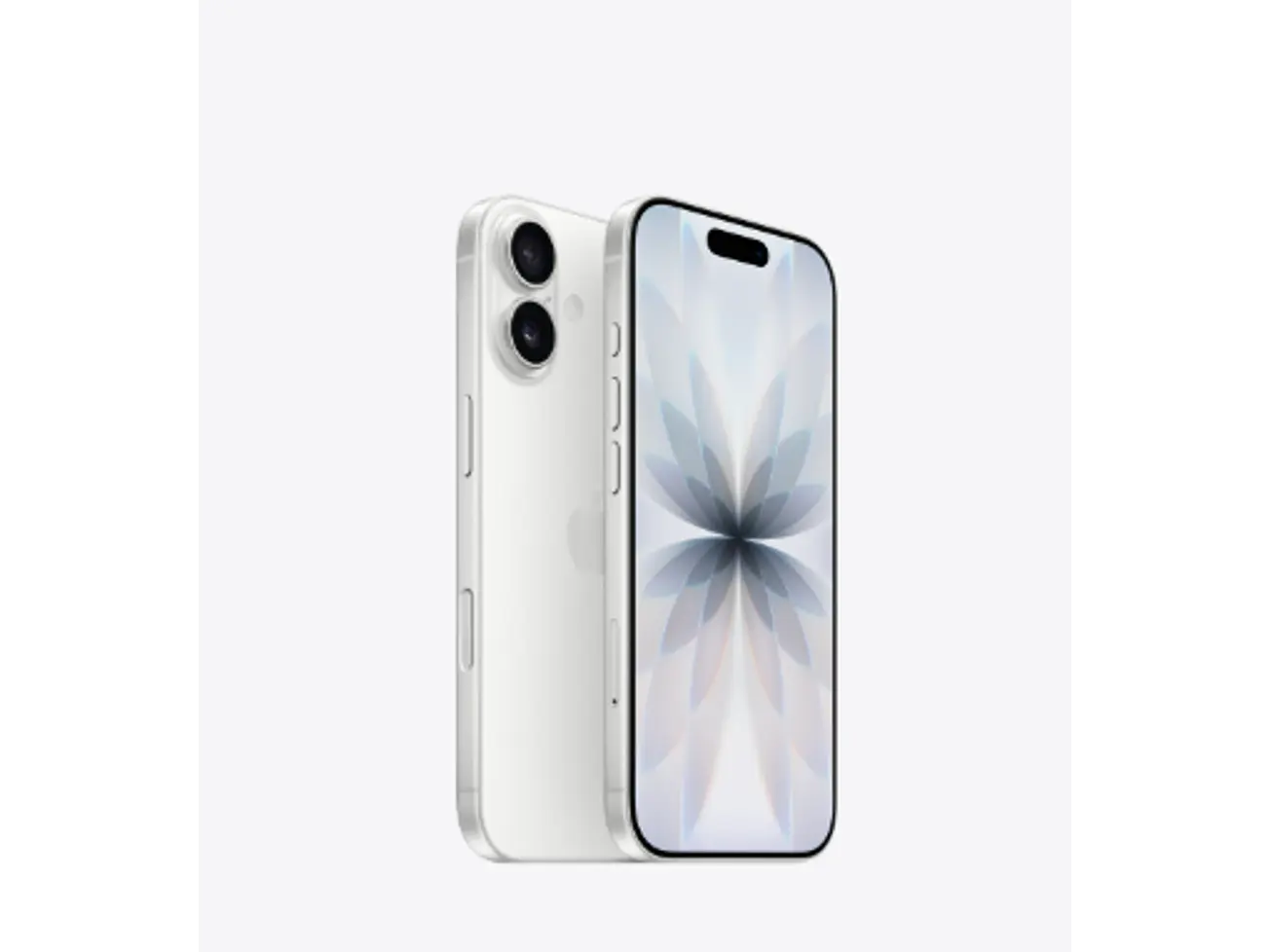 iPhone 17 de 256 GB 4