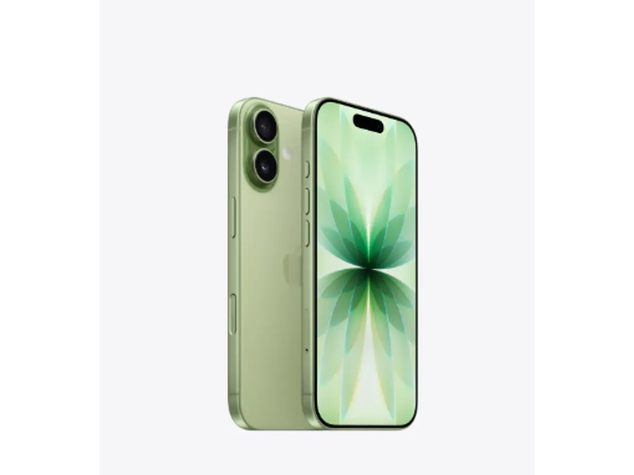 iPhone 17 de 256 GB 1