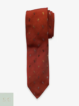 Corbata Clásica de Seda en Motivo Paisley Roy Robson