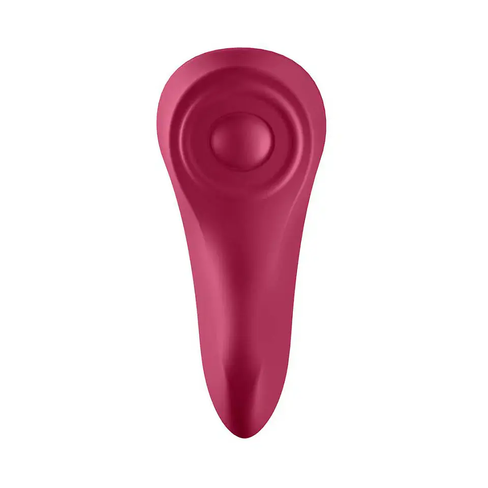Vibrador Satisfyer Sexy Secret Panty con App 4