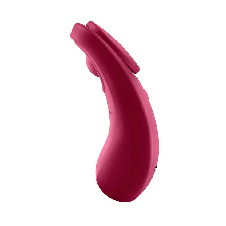 Vibrador Satisfyer Sexy Secret Panty con App 5