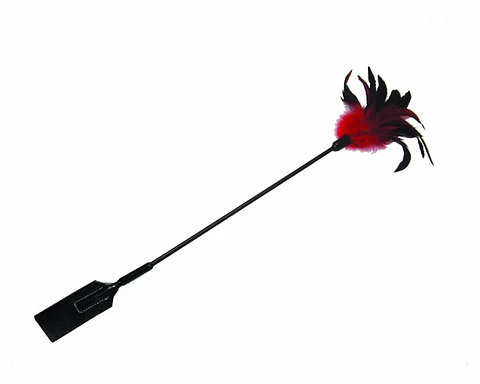 Fusta con plumas