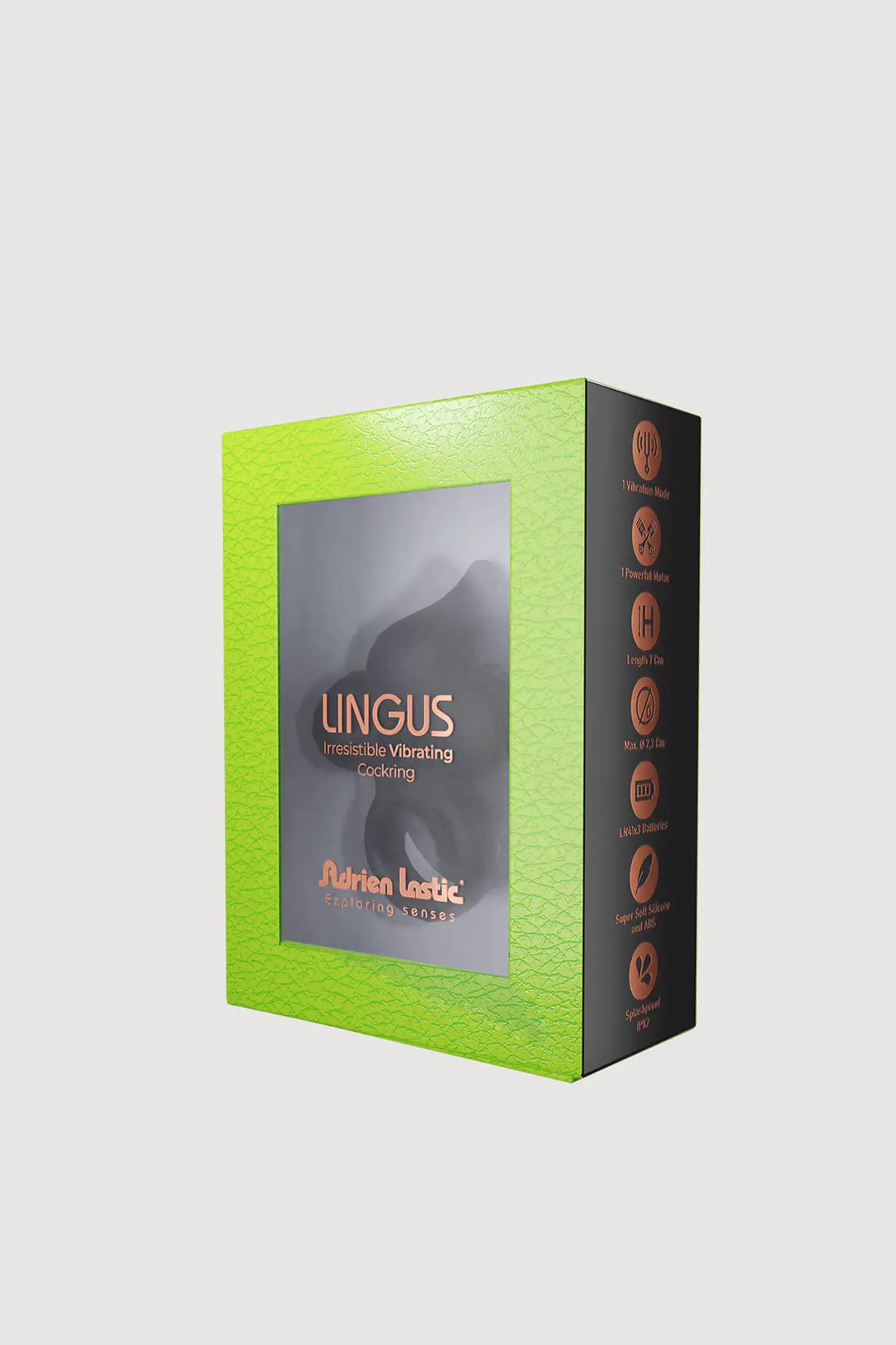Anillo Lingus 2