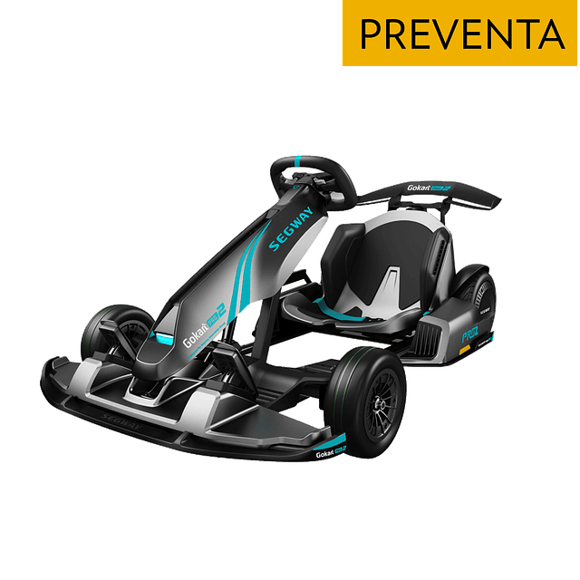 GoKart Segway Pro 2 - 43 km/h Vel. Máx. y 25 km Aut. Máx. - Gris