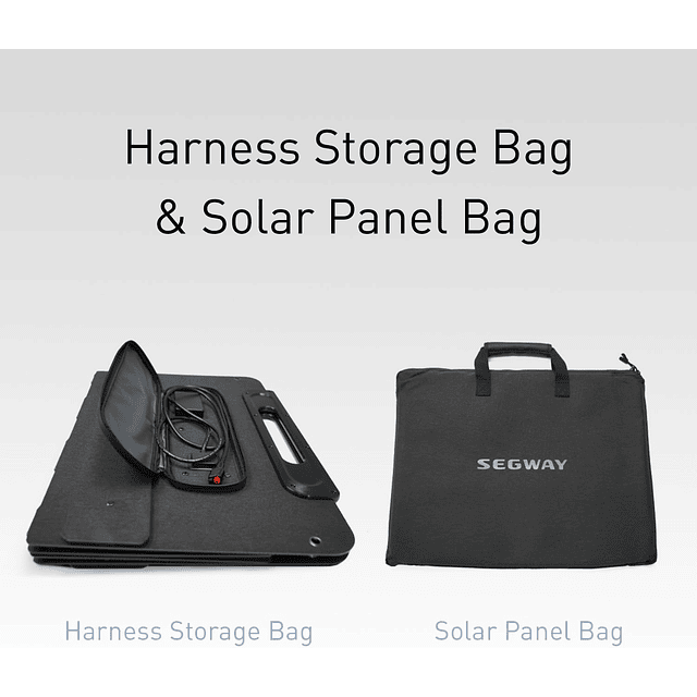 Panel Solar Portátil SP200