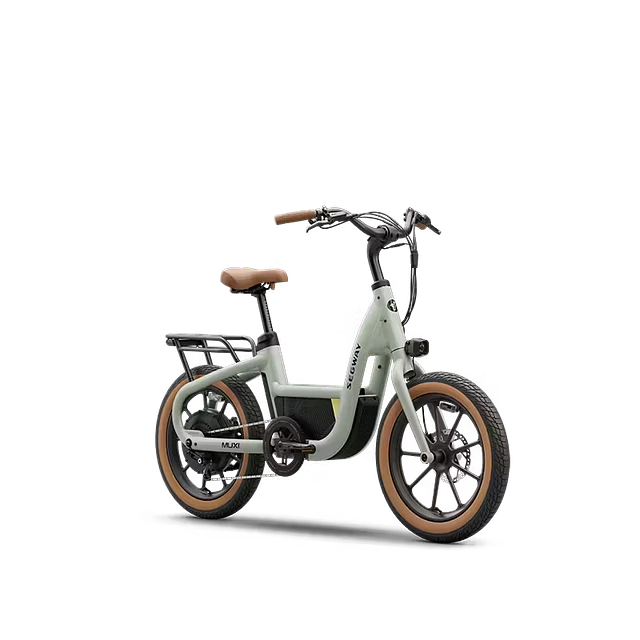 Segway Muxi Bicicleta Eléctrica