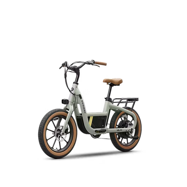 Segway Muxi Bicicleta Eléctrica