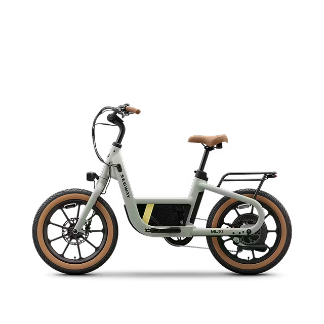 Segway Muxi Bicicleta Eléctrica