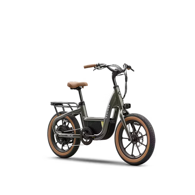 Segway Muxi Bicicleta Eléctrica