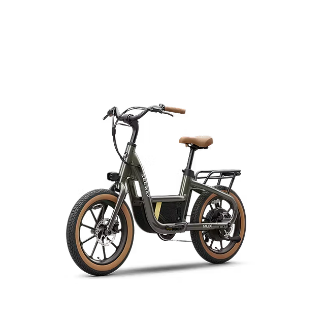 Segway Muxi Bicicleta Eléctrica