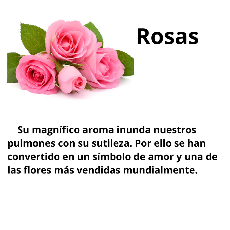 Aromas para Velas  8