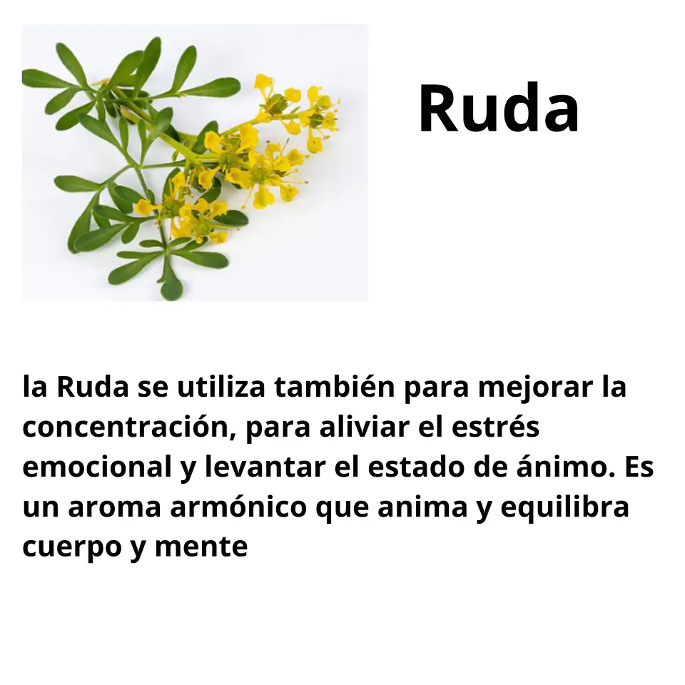 Aromas para Velas  10