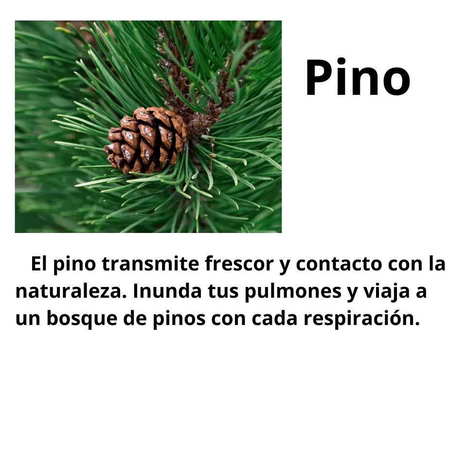 Aromas para Velas  13
