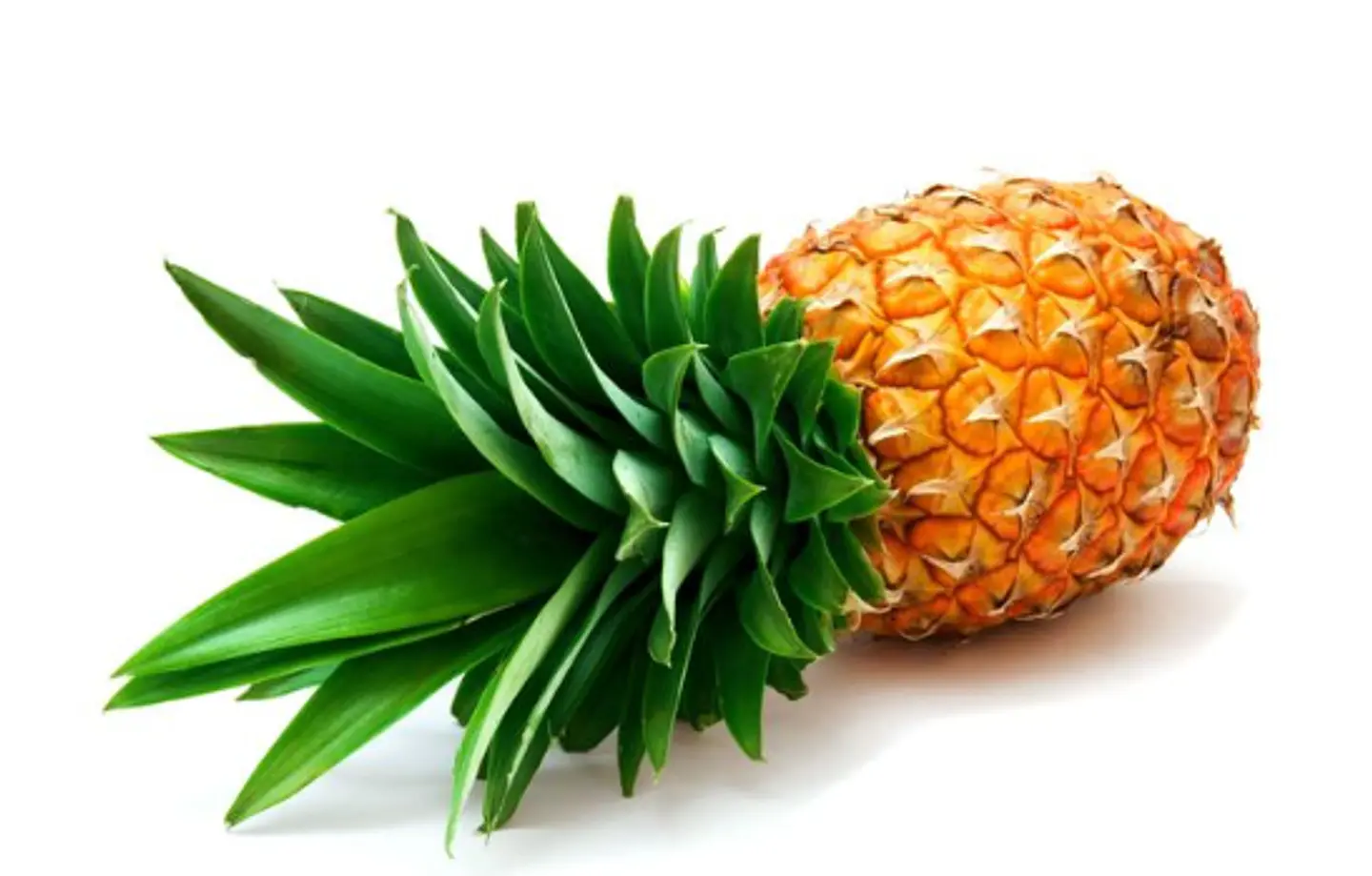 Aromas para Velas  21