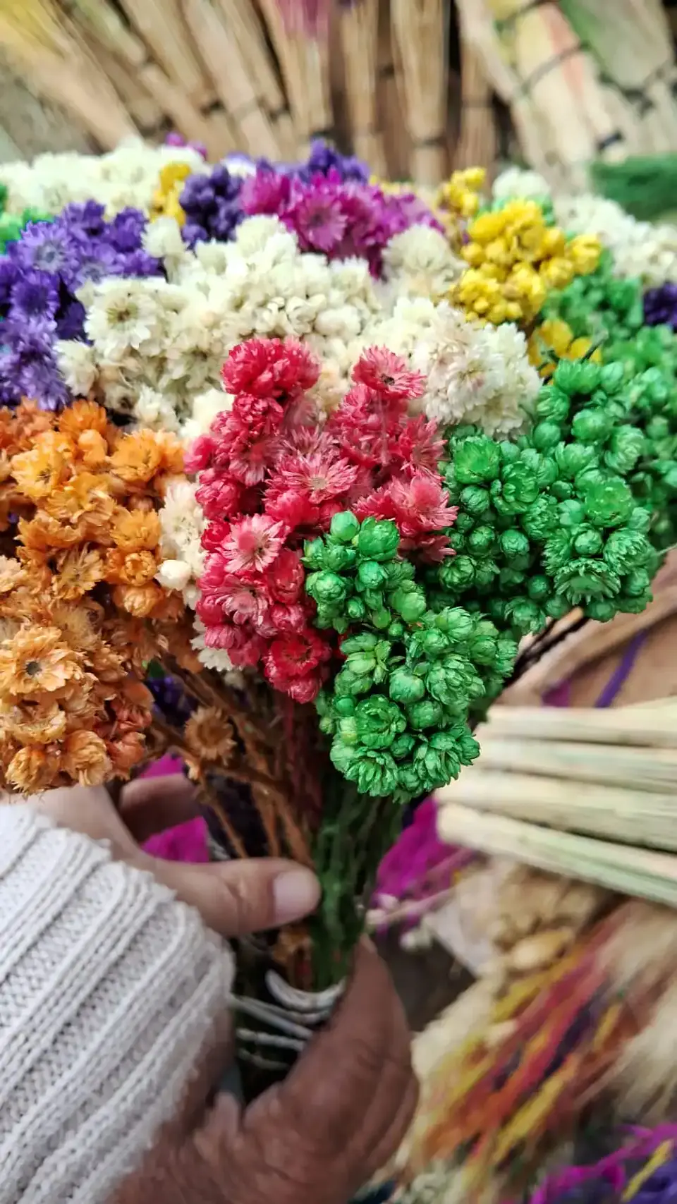 Flores secas con forma de punto 1