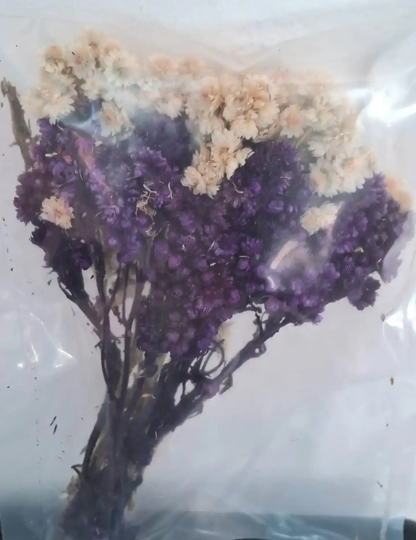 Flores secas con forma de punto 3