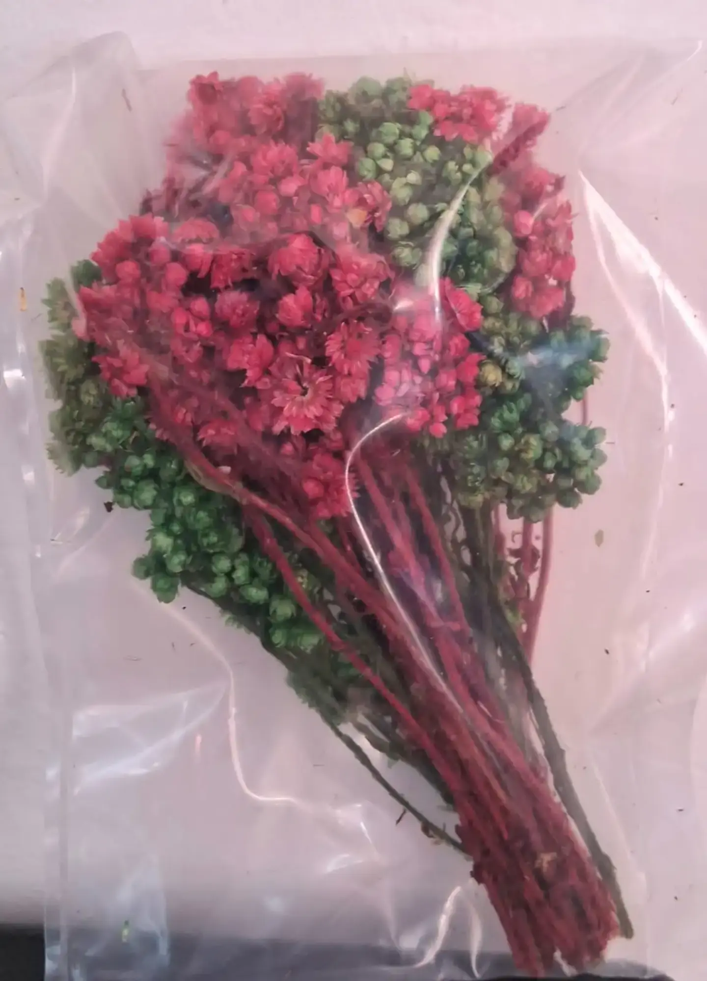 Flores secas con forma de punto 4