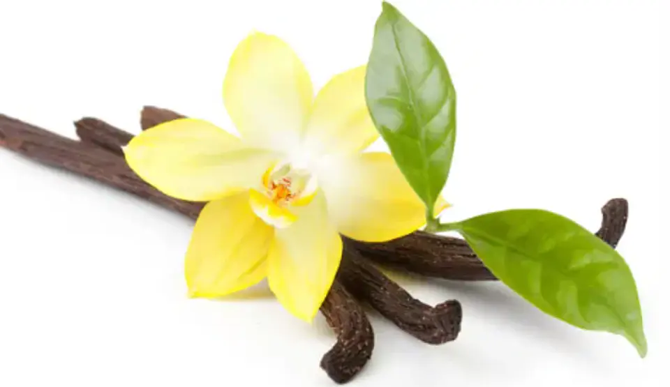 Aroma para Jabón 10  y 30 mililitros 7