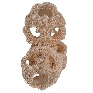 Lufa cortada en trozos