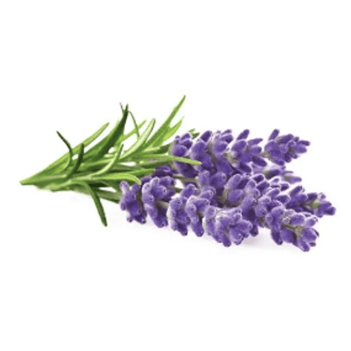 Aroma para Jabón 10