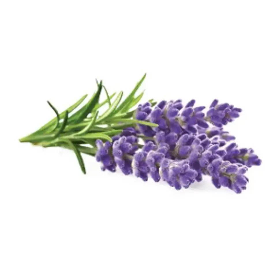 Aroma para Jabón 10  y 30 mililitros 10