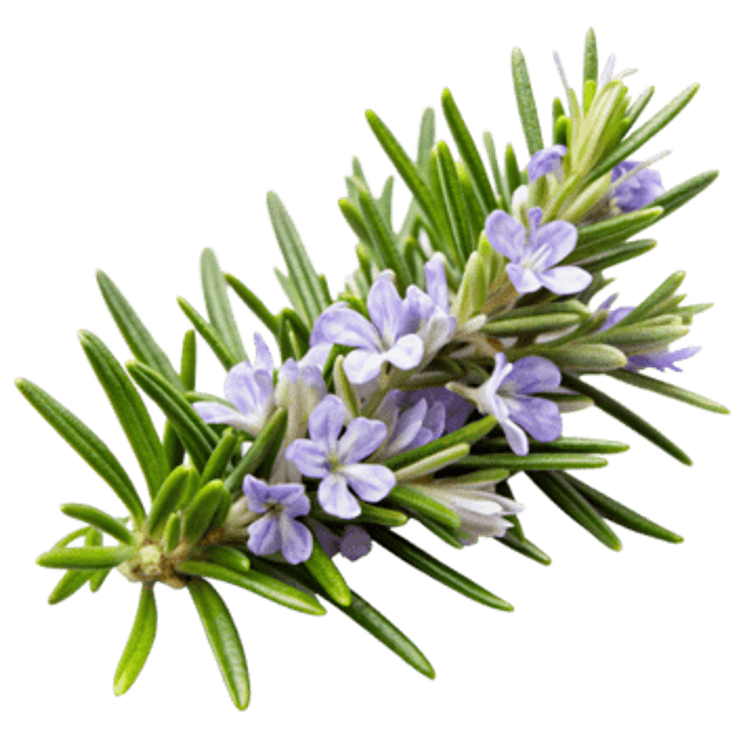 Aroma para Jabón 10 mililitros 14