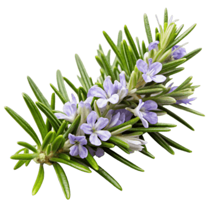 Aroma para Jabón 10 mililitros 14