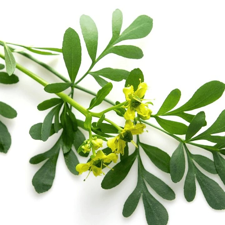 Aroma para Jabón 10 mililitros 15