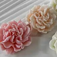 Molde Flor Clavel - Miniatura 1